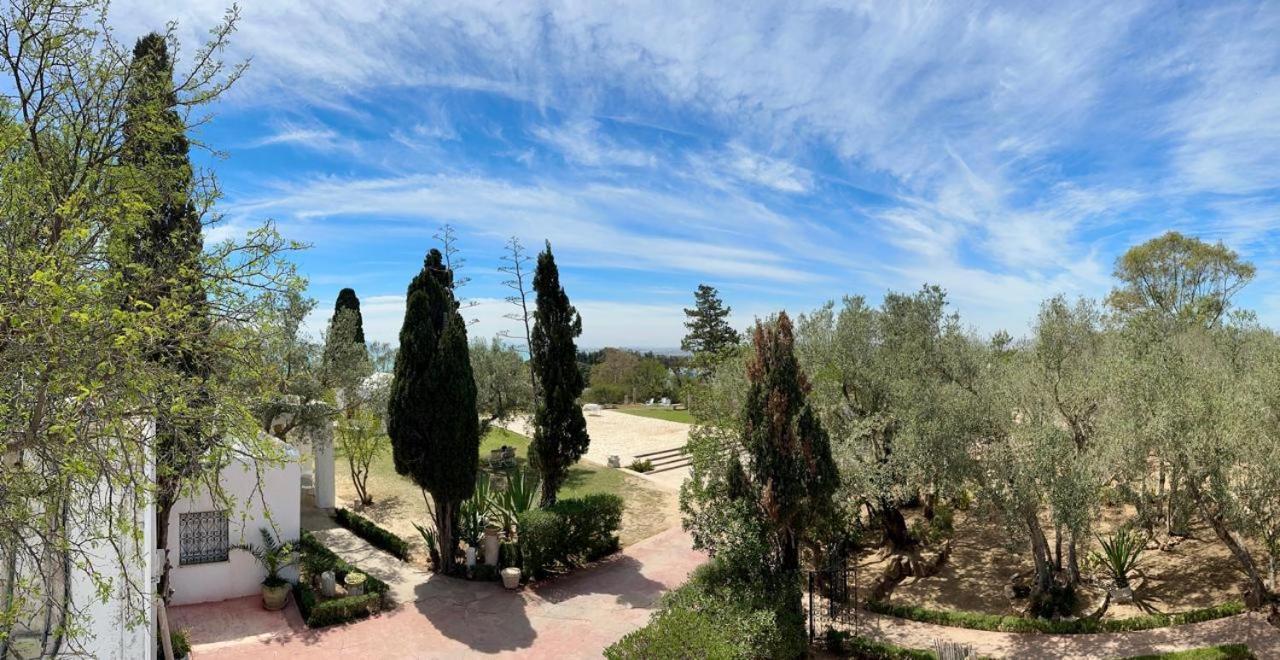 Si Brahim Studio Piscine, Sidi Bou Ali Buitenkant foto
